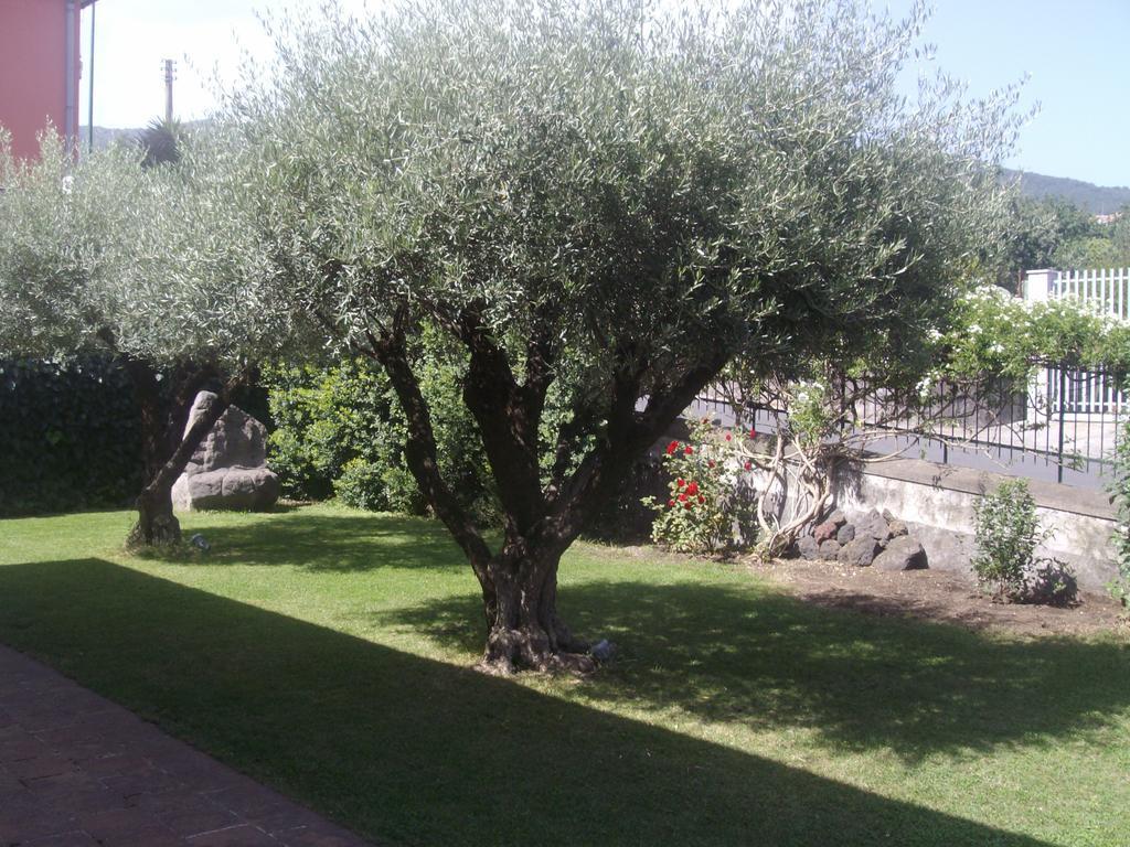 Scatitti House Villa Zafferana Etnea Room photo